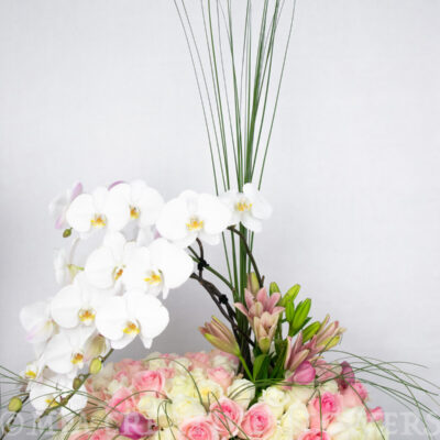 Vanilla-Strawberry Muss