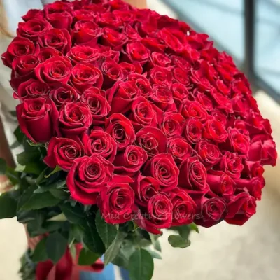 Premium Red and Red/White Long Stem Roses 60cm