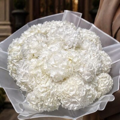 Mother's Day White Hydrangeas
