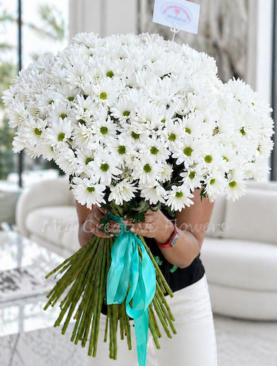Mother's Day Daisies